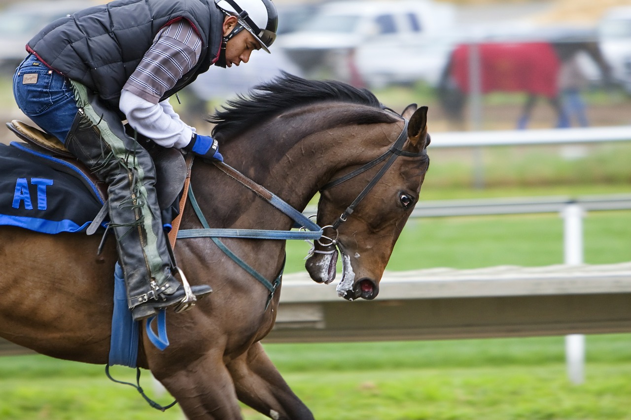 Horse Club